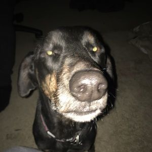 Meet your Posher, Keri